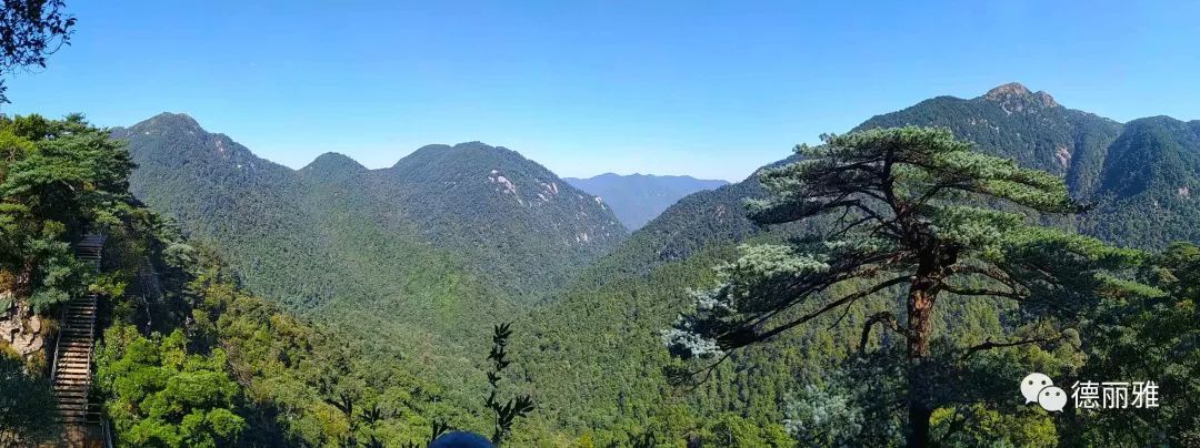 �����Ň��c����